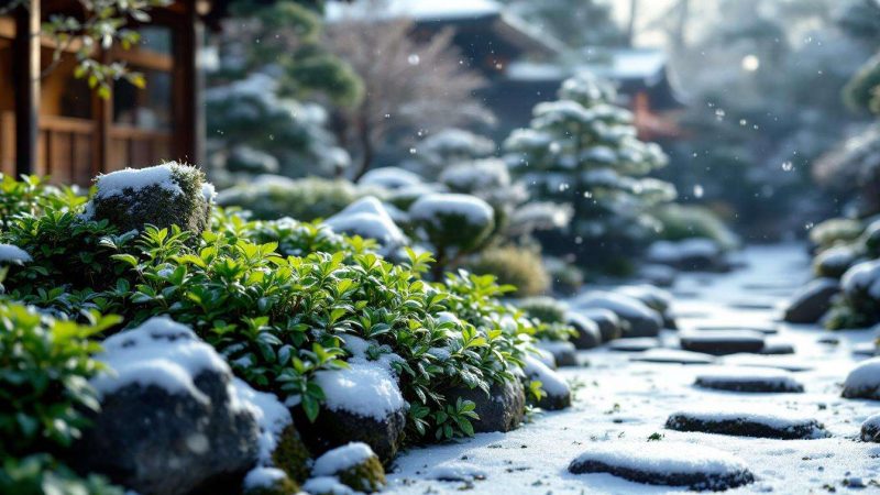 La neige ne sera plus un problème pour vos plantes cet hiver grâce à cette méthode de jardinage japonaise