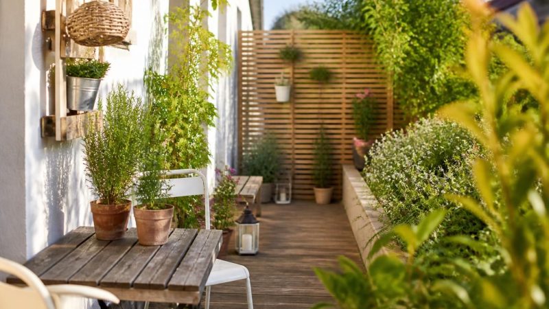 Aménager un petit jardin pas cher : 10 astuces efficaces